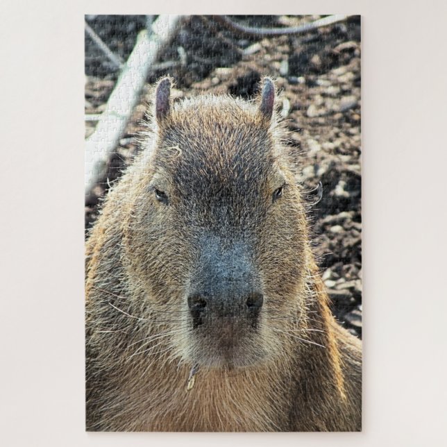 PUZZLE CAPYBARA ANIMAL SAUVAGE (Vertical)