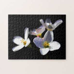 Puzzle Cardamine Pratensis Fleurs 11x14 252pc jpcna