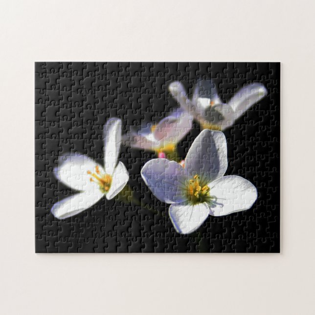 Puzzle Cardamine Pratensis Fleurs 11x14 252pc jpcna (Horizontal)