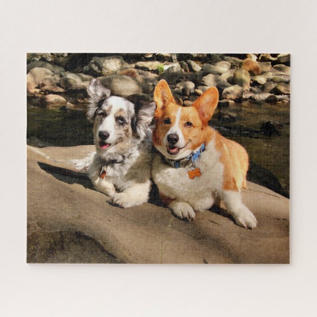 Puzzle Cardigan et Pembroke Welsh Corgis (Horizontal)