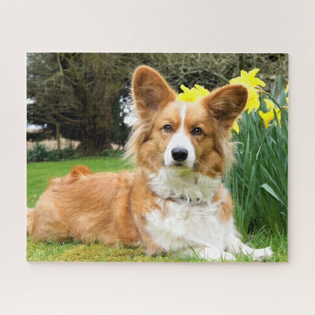 Puzzle Cardigan Welsh Corgi Chien (Horizontal)