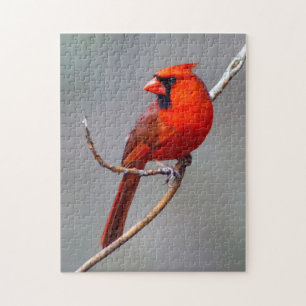 Puzzle cardinal