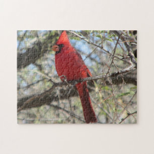 Puzzle cardinal