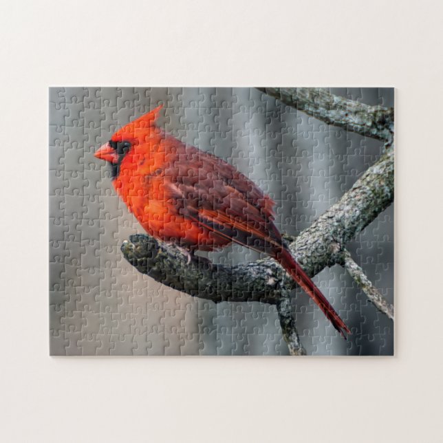 Puzzle cardinal (Horizontal)