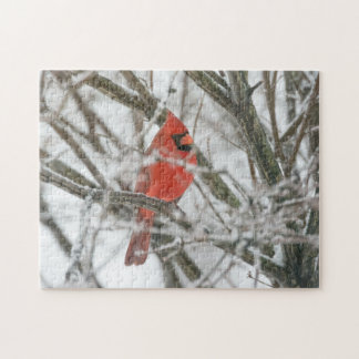 Puzzle Cardinal