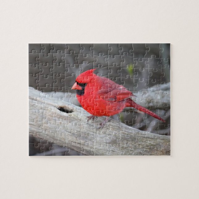Puzzle Cardinal à Woods (Horizontal)