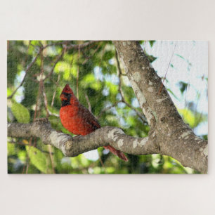 Puzzle Cardinal dans la photographie des arbres