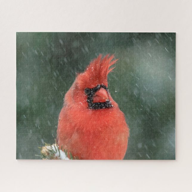 Puzzle Cardinal dans un pin pendant une tempête de neige (Horizontal)