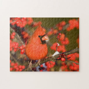 Puzzle Cardinal du Nord dans l'Winterberry Commune
