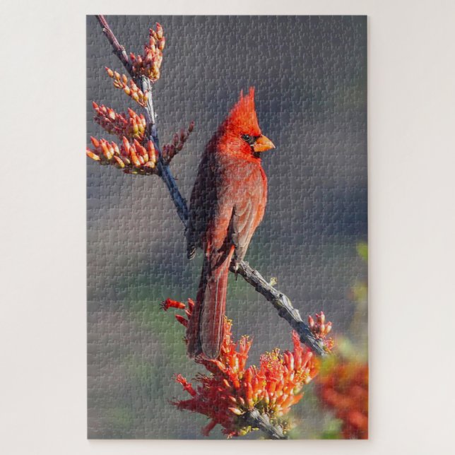 Puzzle Cardinal masculin du nord (Vertical)