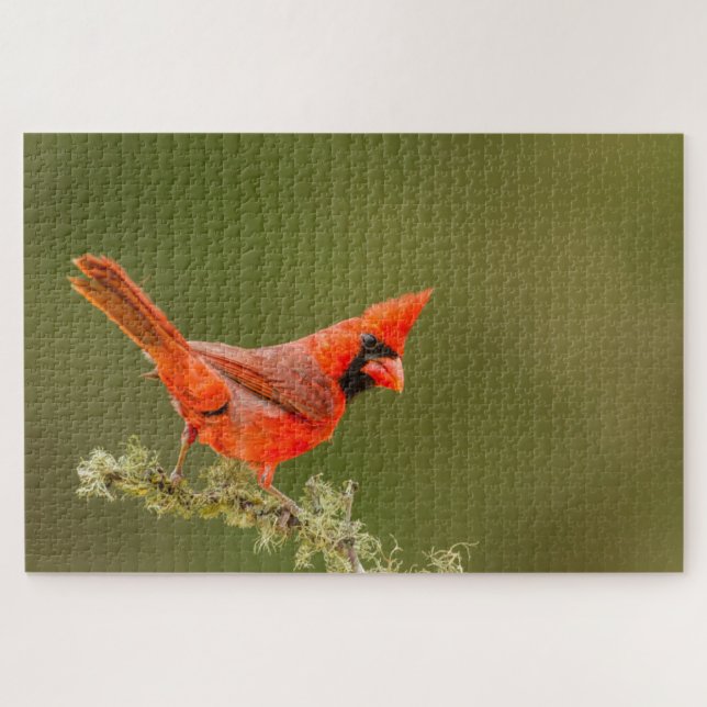 Puzzle Cardinal masculin sur le membre (Horizontal)