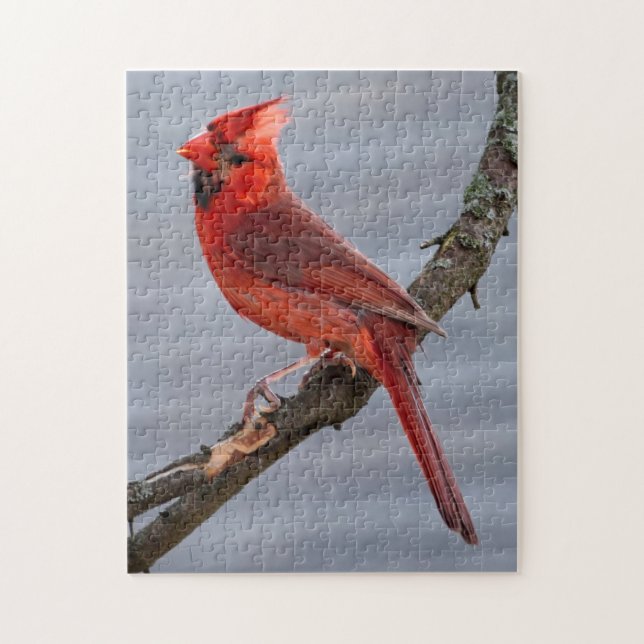 Puzzle Cardinal - Red Bird - 11x14 - 252 pc (Vertical)
