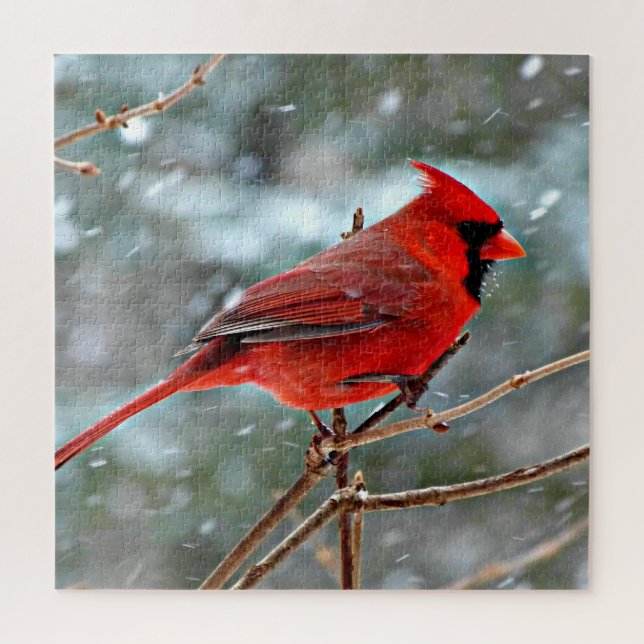 Puzzle Cardinal rouge dans la neige (Vertical)