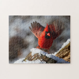 Puzzle Cardinal rouge dans la neige