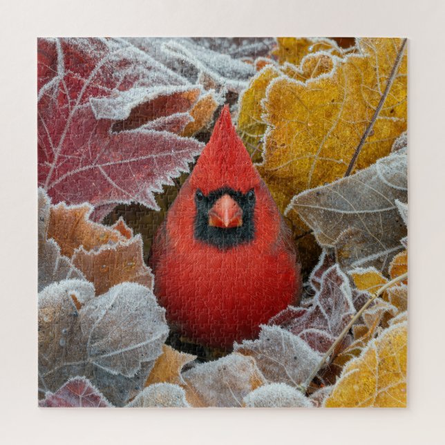 Puzzle Cardinal rouge dans les feuilles d'automne gelées (Vertical)