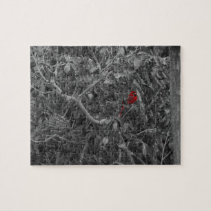 Puzzle Cardinal rouge dans un arbre noir et blanc