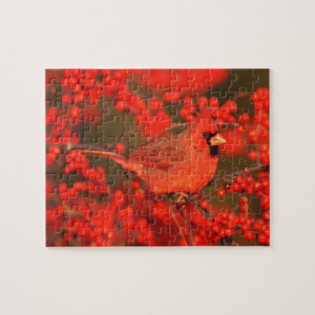 Puzzle Cardinal rouge du Nord mâle, IL (Horizontal)