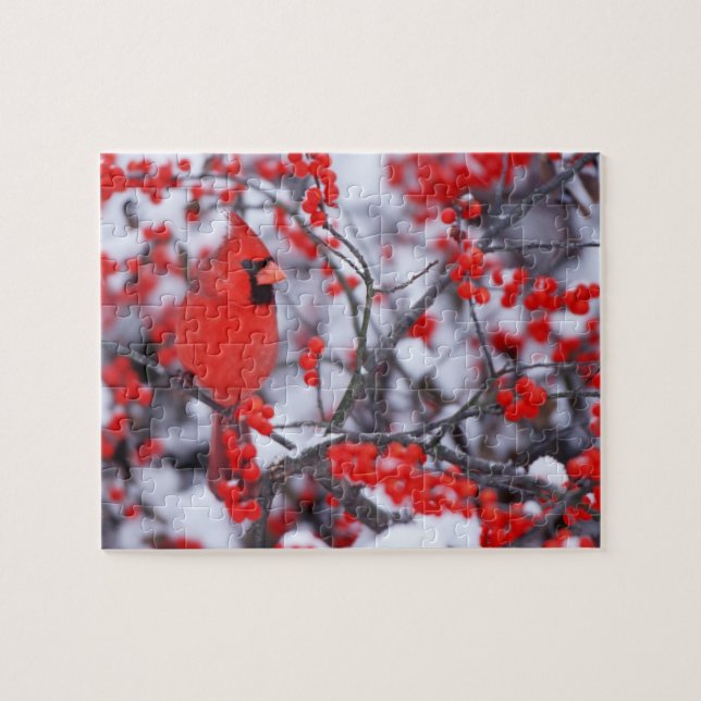 Puzzle Cardinal rouge mâle, Hiver, IL (Horizontal)