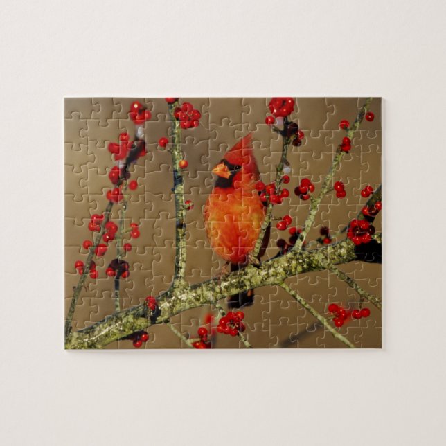Puzzle Cardinal rouge mâle perché, IL (Horizontal)
