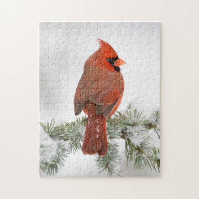 Puzzle Cardinal rouge mâle sur Cèdre de l'Atlas bleu (Vertical)