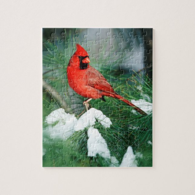 Puzzle Cardinal rouge mâle sur un arbre, IL (Vertical)