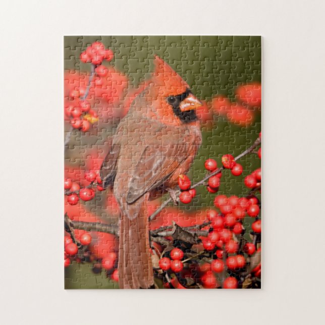 Puzzle Cardinal rouge sur un Houx verticillé (Vertical)