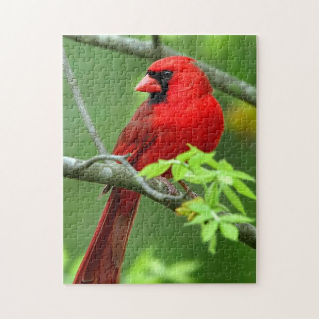 Puzzle cardinaux rouges (Vertical)