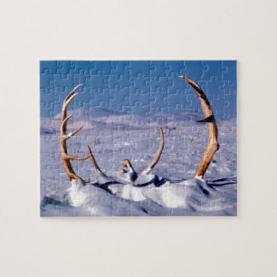Puzzle Caribou Antlers