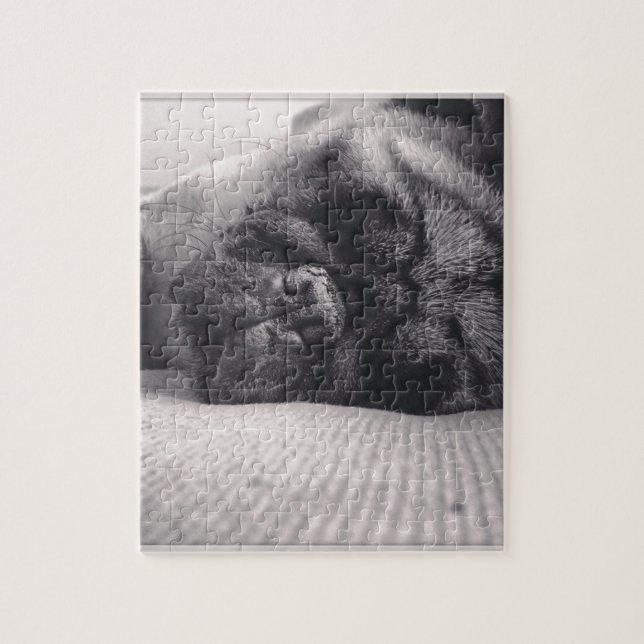 Puzzle Carlin de sommeil (Vertical)