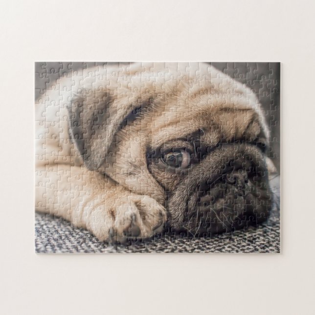 Puzzle Carlin endormi (Horizontal)