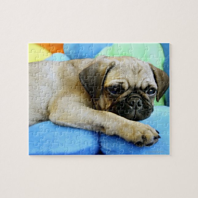 Puzzle Carlin relatif aux coussins (Horizontal)
