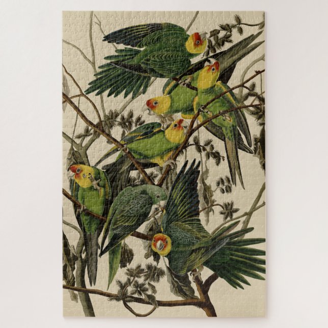 Puzzle Carolina Parrot de Audubon's Birds of America (Vertical)