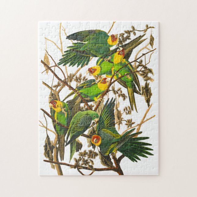 Puzzle Carolina Parrot par John James Audubon (Vertical)