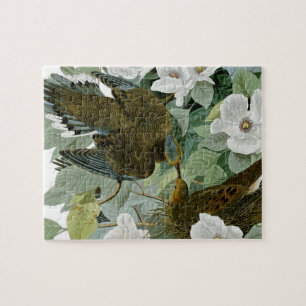 Puzzle Carolina Pigeon Audubon Morning Dove