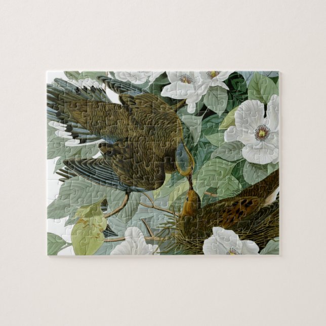 Puzzle Carolina Pigeon Audubon Morning Dove (Horizontal)