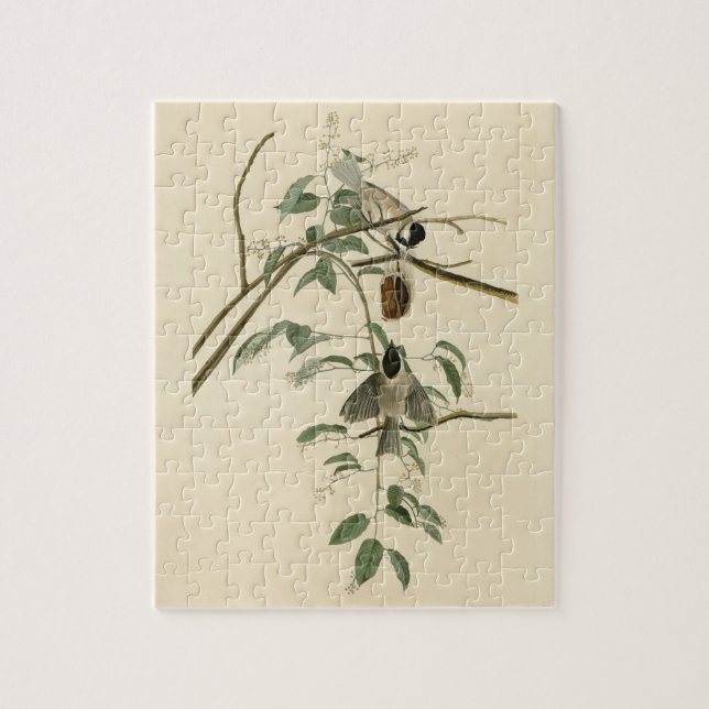 Puzzle Carolina Titmouse de Audubon's Birds of America (Vertical)