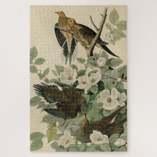 Puzzle Carolina Turtle Dove Mourning Dove Audubon's Birds