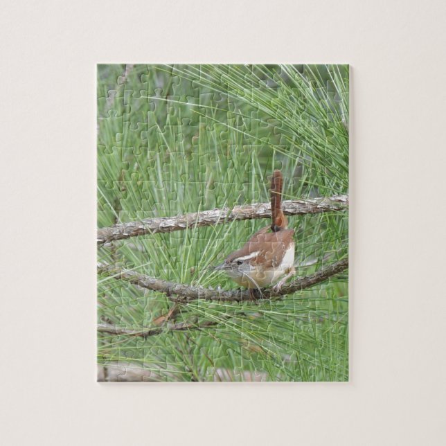 Puzzle Carolina Wren in Pine Tree (Vertical)
