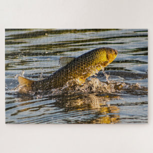 Puzzle Carpe sauteuse d'herbe