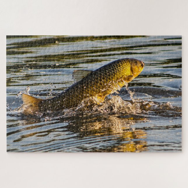 Puzzle Carpe sauteuse d'herbe (Horizontal)