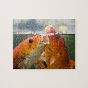 Puzzle Carpes de Koi