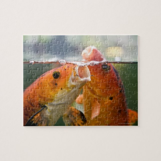 Puzzle Carpes de Koi (Horizontal)