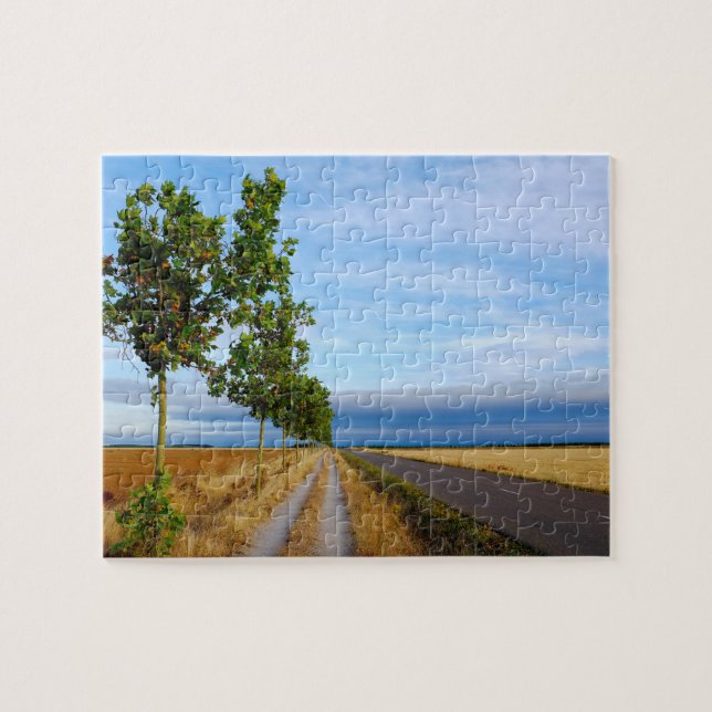 Puzzle Carretera Hacia Reliegos (Horizontal)