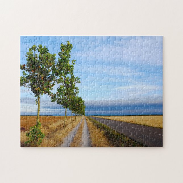 Puzzle Carretera Hacia Reliegos (Horizontal)