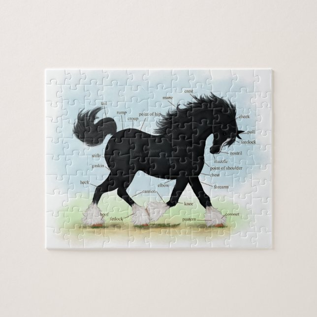 Puzzle Carte anatomique éducative du Cheval de la Côte No (Horizontal)