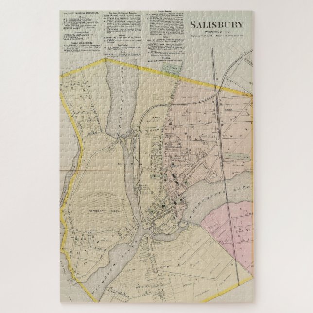 Puzzle Carte vintage de Salisbury MD (1877) (Vertical)
