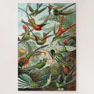 Puzzle Carte Vintage des oiseaux d'Ernst Haeckel