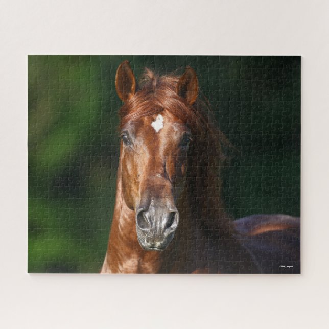 Puzzle Casque de marron marron andalou de marron de Bob L (Horizontal)