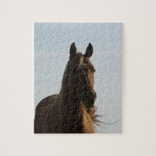 Puzzle casse-tête