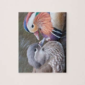 Puzzle Casse-tête : Canards de mandarine